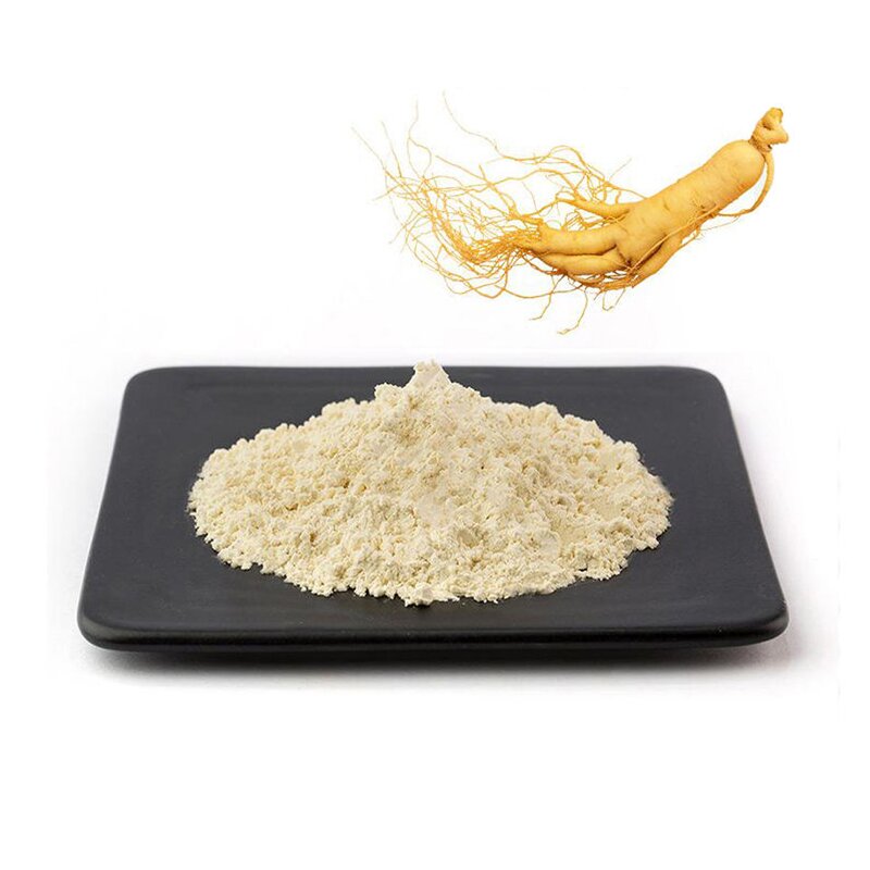 Panax Ginseng Root Extract Powder Manufacturer - Pure Natural Ginsenosides Powder