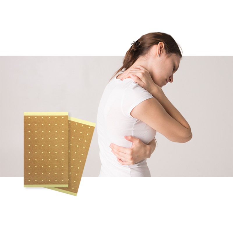 Capsicum Plaster Factory - Long Lasting Pain Relief