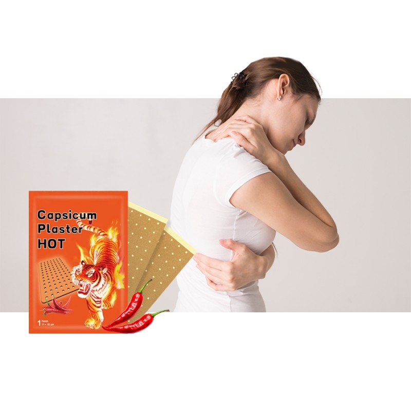 Capsicum Plaster Factory - Long Lasting Pain Relief