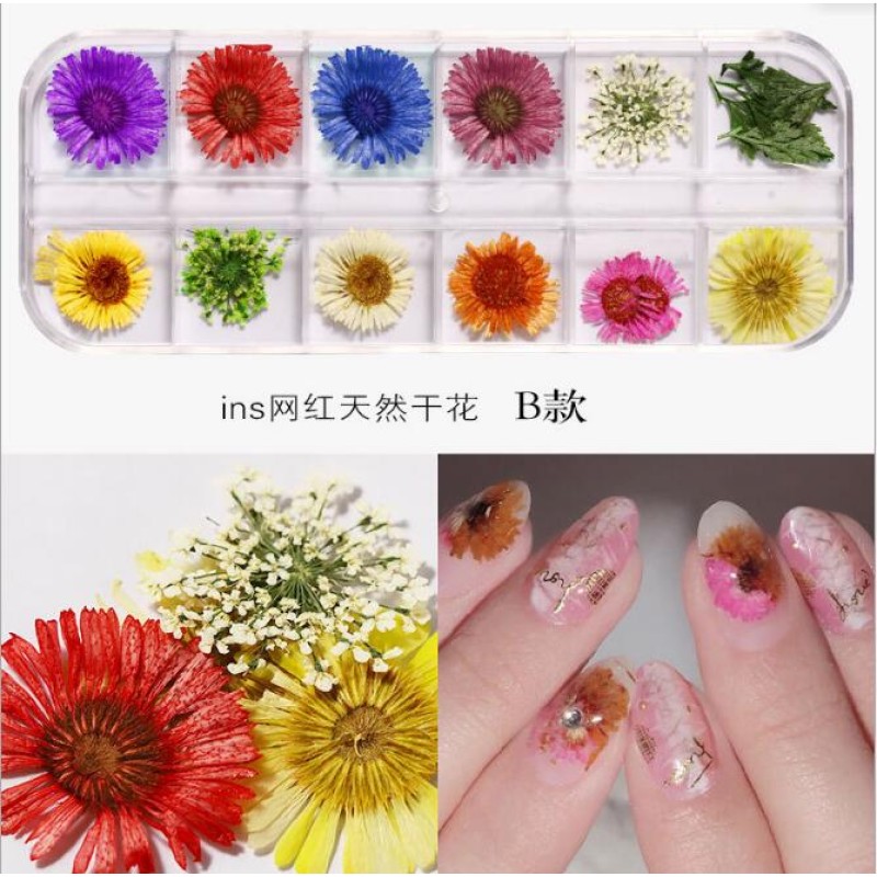 Dry Flower Nail Stickers Factory - Professional Good Quality Natural 3D Dried Flowers Decals