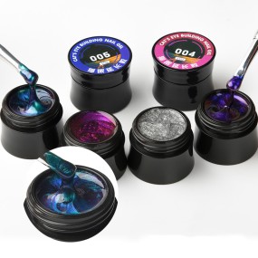 Cat Eye Extension Gel Supplier - Hot Sell 6 Colors Concentrated Finish Salon UV Polish Glue