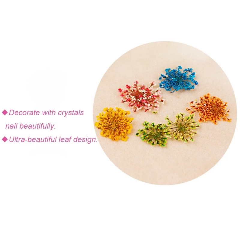 Dried Flower Nail Decoration Manufacturer - Hot Sell DIY Natural Plant 3D Real Dry Flower