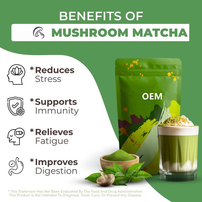 Mushroom Coffee Manufacturer - Organic Adaptogenic Blend with Matcha for Focus & Gut Health