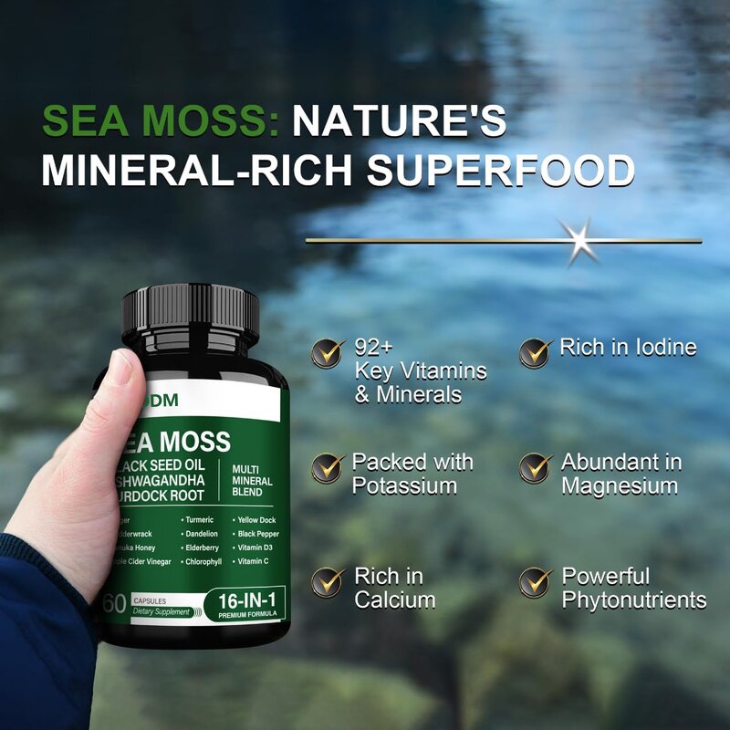 Sea Moss Capsules Manufacturer - Private Label Organic with Black Seed Oil & Herb Extracts