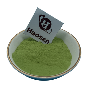 Pandan Leaf Extract Manufacturer - Organic Powder Herbal Green Top Grade
