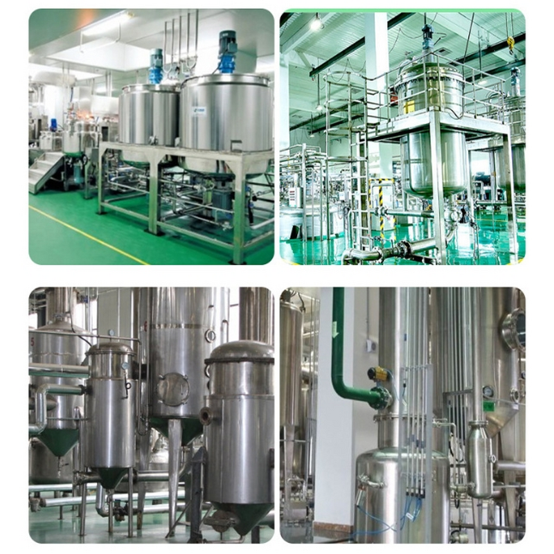 Chitosan Oligosaccharide Powder Manufacturer - Nano Water Soluble for Sale