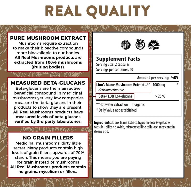 Lion's Mane Mushroom Capsules Manufacturer - OEM Organic Brain Supplement & Cognition Support