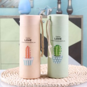 Reusable Water Bottle Factory - Discount Stores 400ml Glass Inner Matte Plastic Bottle with Straw
