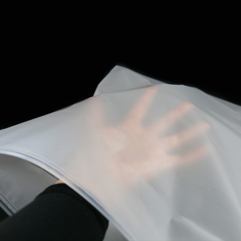 Ziplock Bags Manufacturer - Matte Frosted Biodegradable Plastic Packaging Bags