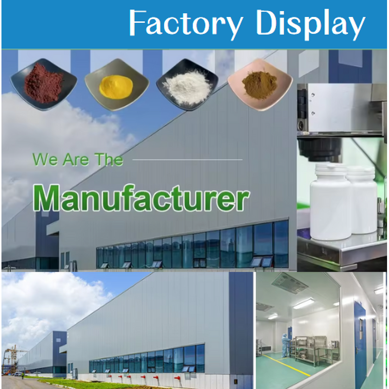 L-Arginine Tablets Manufacturer - OEM Amino Acid Tablets for Blood Flow Support