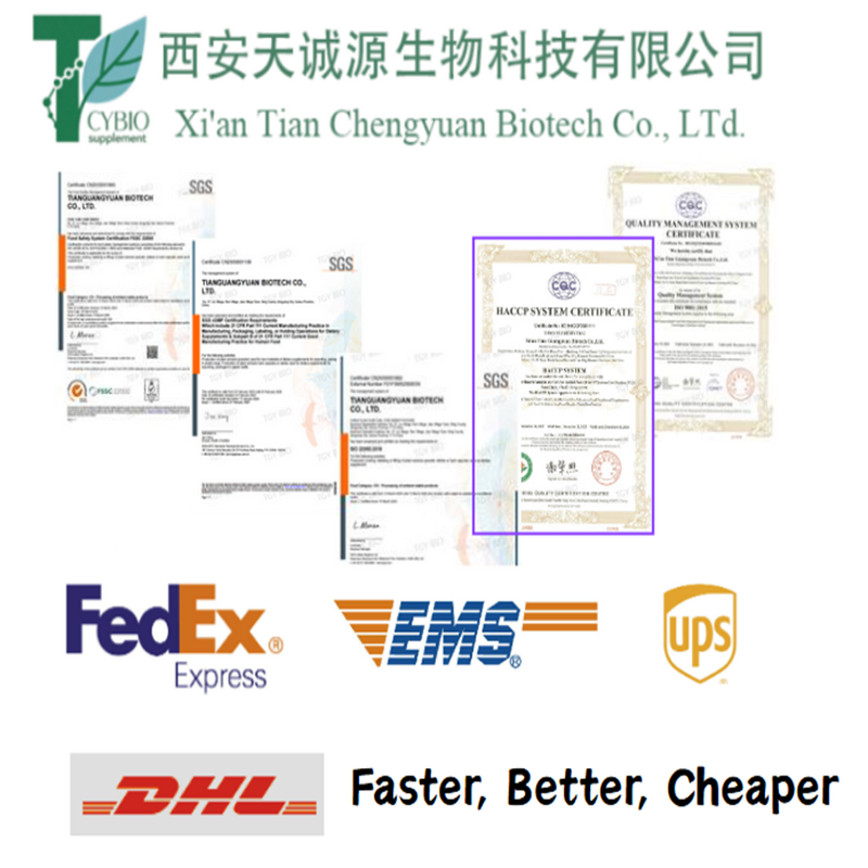 Glucosamine Chondroitin MSM Tablets Manufacturer - Joint Support Complex for Bone Health