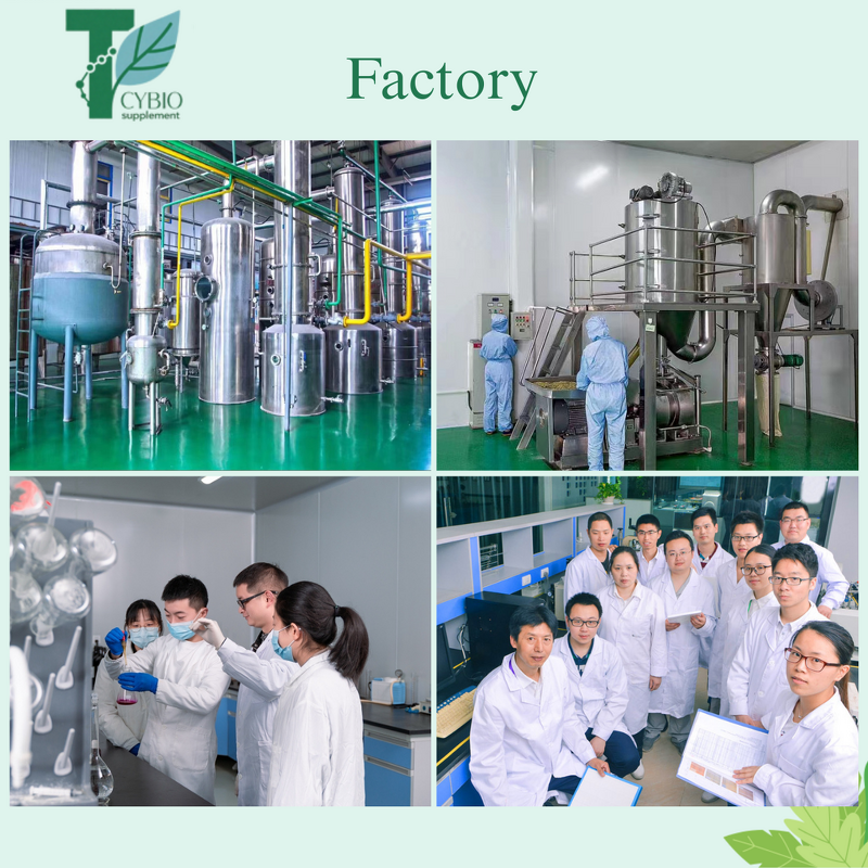 Psyllium Husk Capsules Manufacturer - Private Label & OEM with Aloe Vera for Digestive Regularity