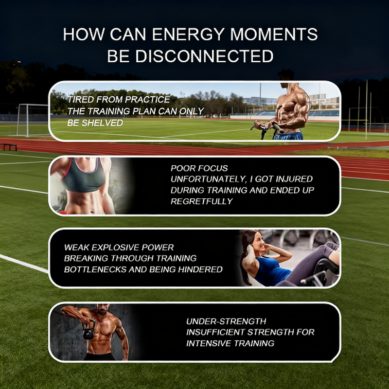 Creatine Powder Manufacturer - 500g with Zinc & Magnesium for Energy & Athletic Performance