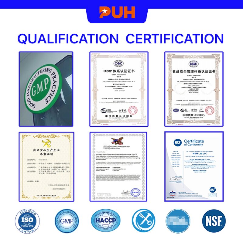 Whey Protein Isolate Powder Manufacturer - 90% Gold Standard for Muscle Support, 300g, Custom Flavors