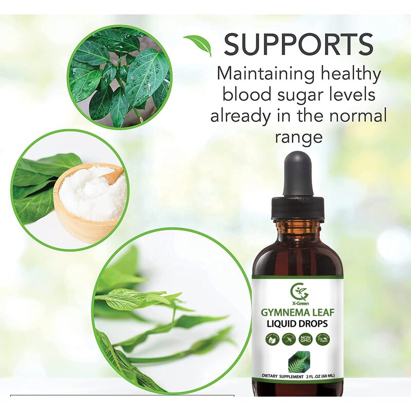 Gymnema Leaf Extract Manufacturer - OEM Oral Liquid Drops for Glucose Metabolism Support
