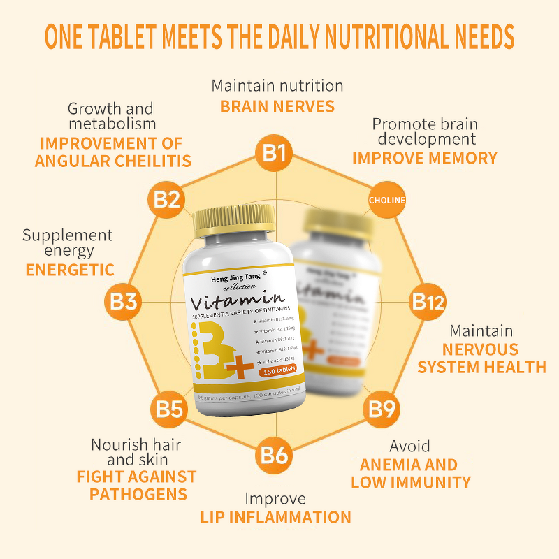 Vitamin B Complex Tablets Manufacturer - High Efficacy Formula with Multiple Minerals for Adults & Pregnant Women