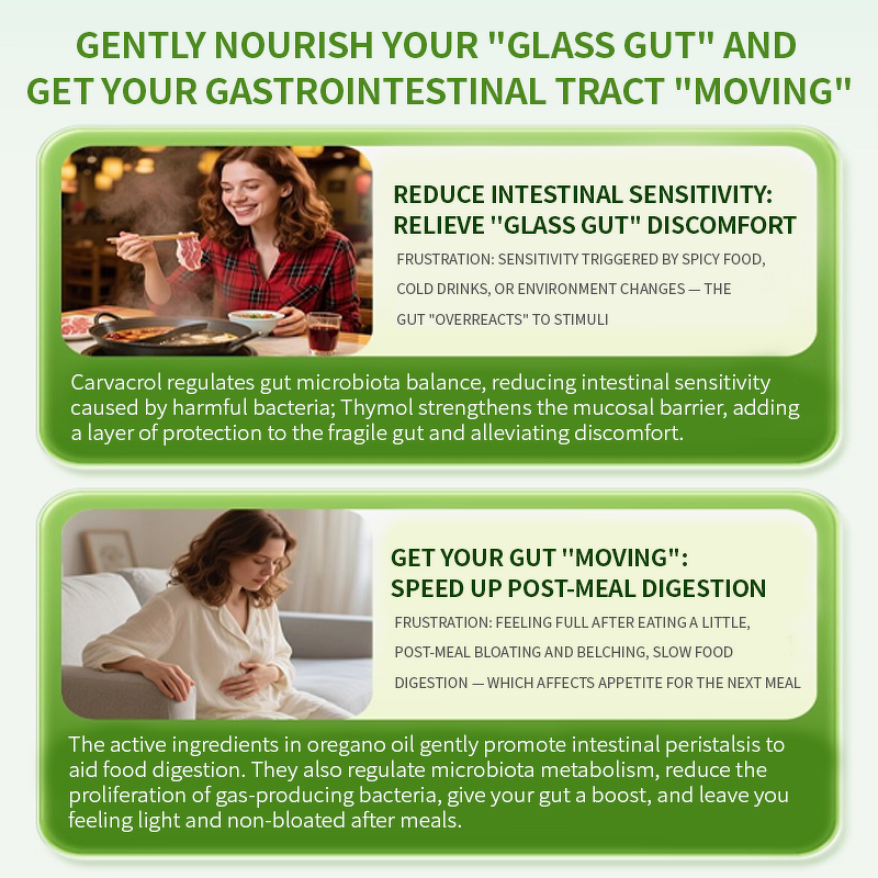 Oregano Oil Softgels Manufacturer - Organic Wild Oregano with Black Seed Oil for Digestive Health