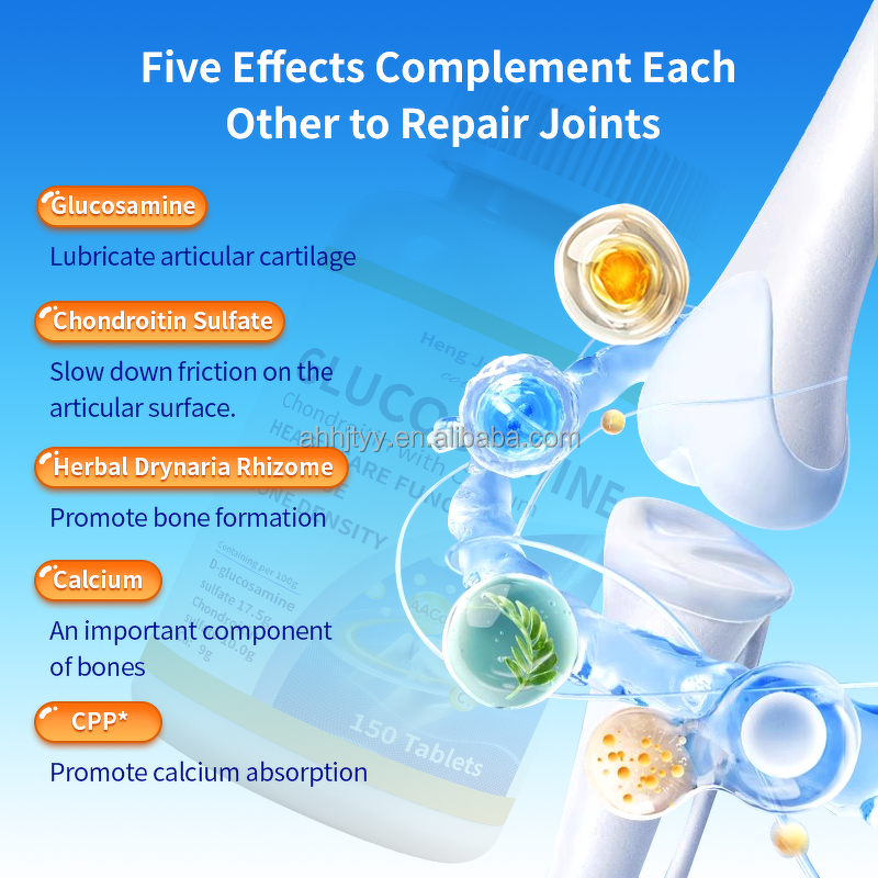 Aminoglucose Chondroitin Calcium Tablets Manufacturer - Aminosugar for Lumbar Disc Herniation Discomfort Relief