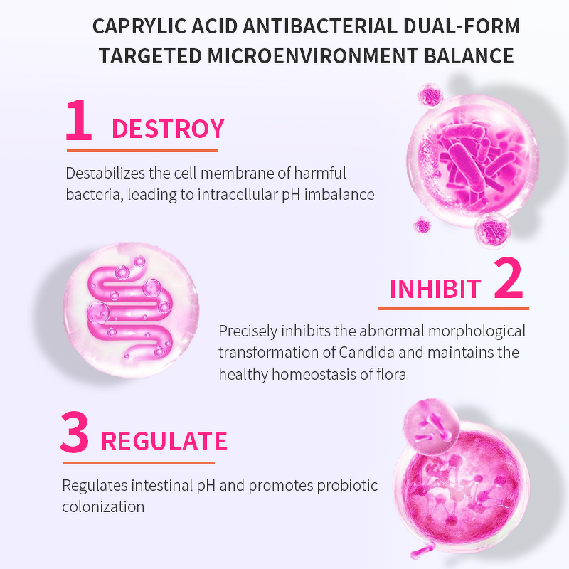 Candida Cleanse Capsules Manufacturer - Herbal Colon Cleanse Supplement for Gut Health