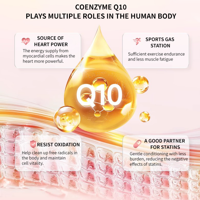 CoQ10 Capsules Manufacturer - Antioxidant for Heart Health & Energy Production