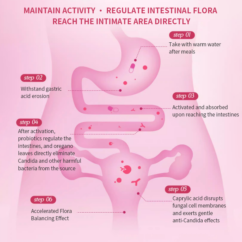 Candida Cleanse Capsules Manufacturer - Herbal Colon Cleanse Supplement for Gut Health