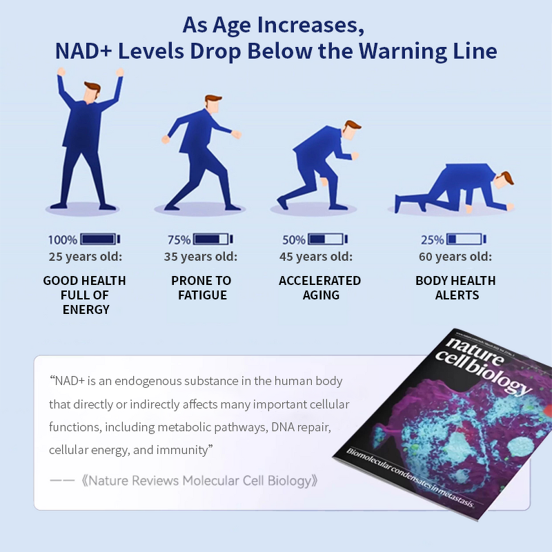 NAD+ Capsules Manufacturer - OEM/ODM Antioxidant Supplement for Women Immune Support