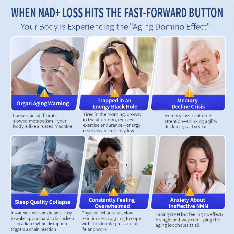 NAD+ Supplement Capsules Manufacturer - Private Label Resveratrol & Coenzyme Q10 900mg Capsules