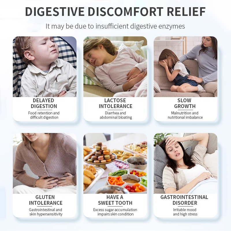 Natural Enzyme Capsules Manufacturer - OEM Vegan Prebiotic for Gut Cleanse & Digestive Support