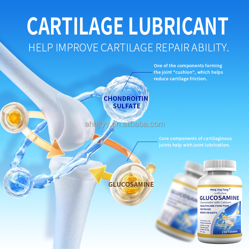 Glucosamine Chondroitin Tablets Manufacturer - MSM & Calcium Supplement for Joint & Bone Health