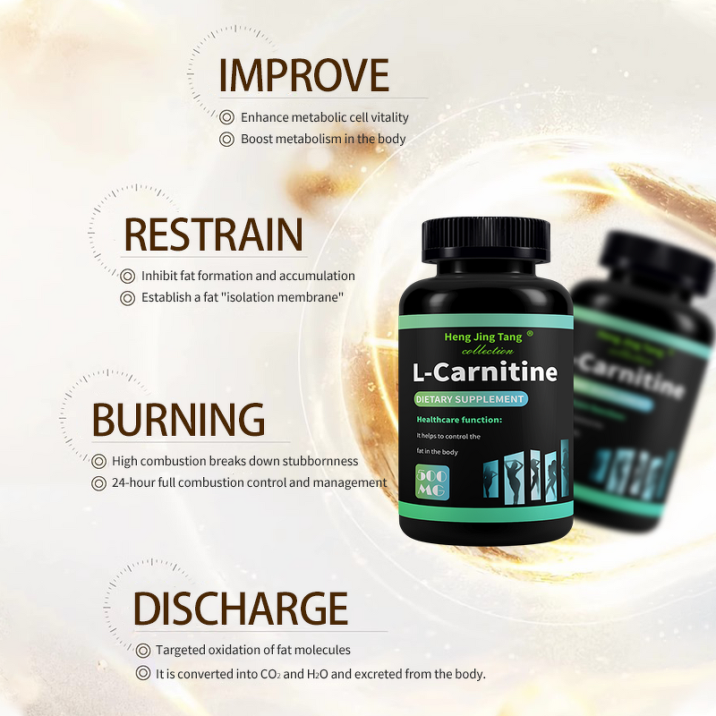 L-Carnitine Supplement Manufacturer - HACCP Certified Food Grade Tablets for Weight Management