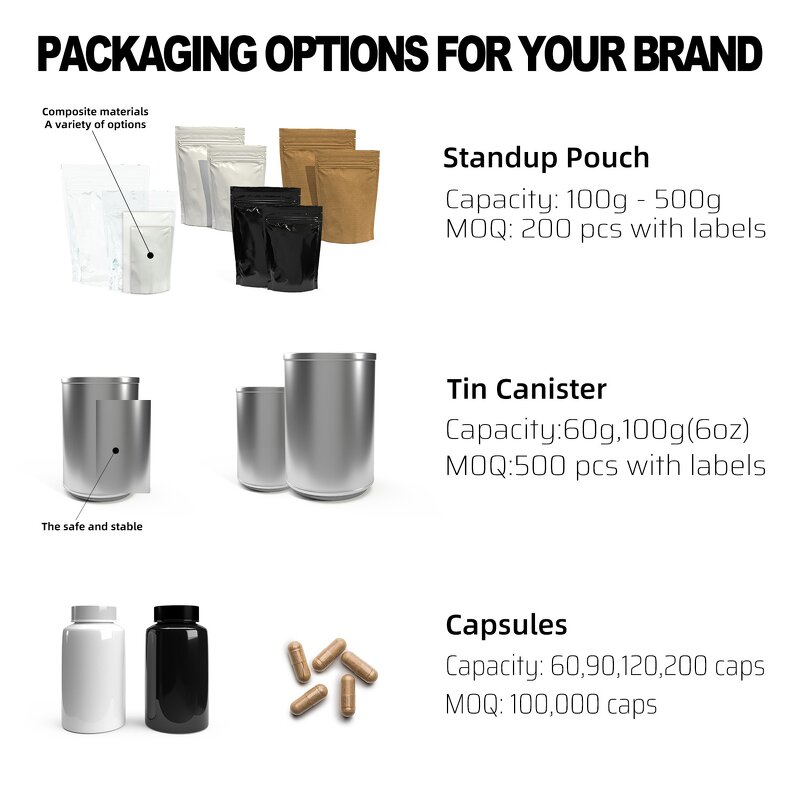 Mushroom Extract Powder Manufacturer - Reishi, Lion's Mane, Cordyceps, Chaga, Agaricus, Turkey Tail Blend