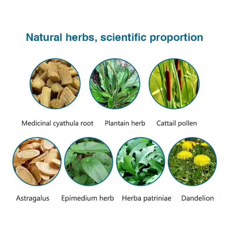 Organic Herbal Tea for Prostate Health - Natural Supplement in Teabags