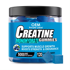 Creatine Gummies Manufacturer - 5000mg Sugar-Free Pre-Workout Supplement in Powder Form