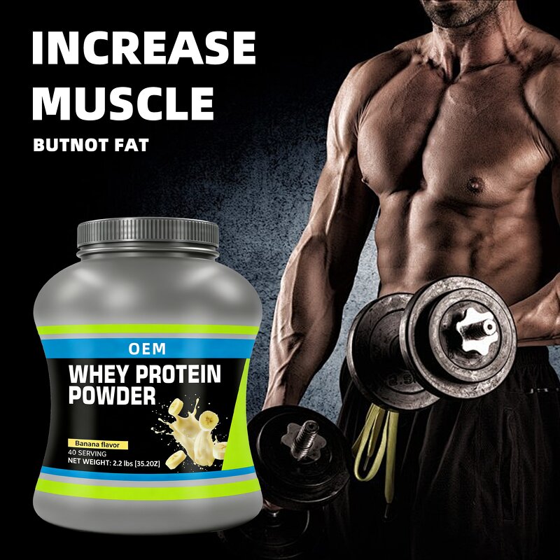 Whey Protein Powder Manufacturer - Custom Logo, High Protein for Muscle & Weight Gain
