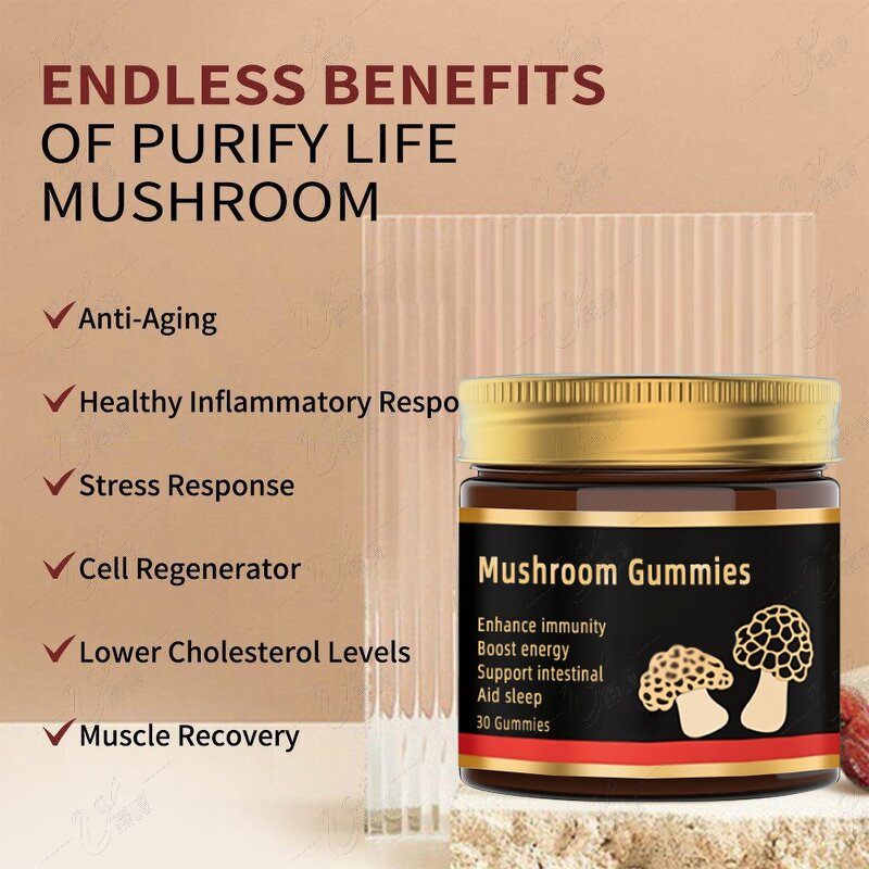 Mushroom Gummies Manufacturer - Reishi & Turkey Tail for Immune & Gut Health Support