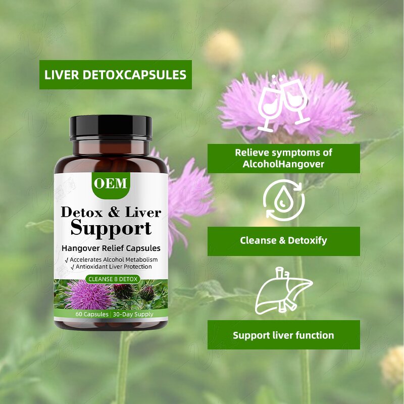 Hangover Capsules Manufacturer - Natural Herbal with Vitamin C B Complex for Fast Alcohol Recovery