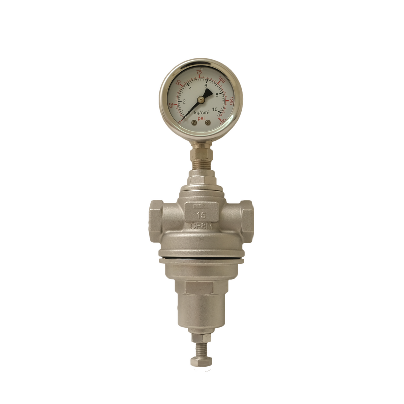 Stainless Steel 316 Pressure Reducing Valve Manufacturer - Direct Acting Water & Air Regulator