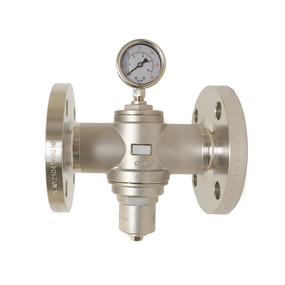 Stainless Steel 316 Pressure Reducing Valve Manufacturer - Direct Acting Water & Air Regulator