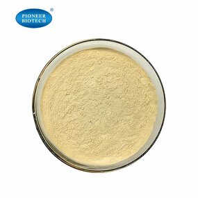 Rice Bran Extract - Oryza Sativa from Manufacturer at Competitive Price