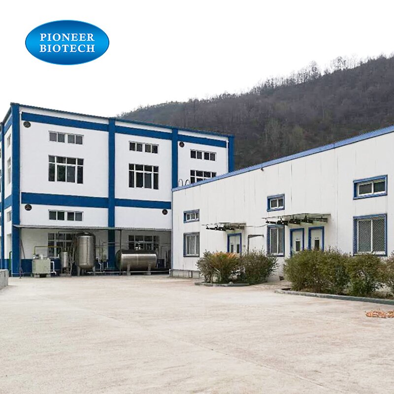 Rice Bran Extract - Oryza Sativa from Manufacturer at Competitive Price