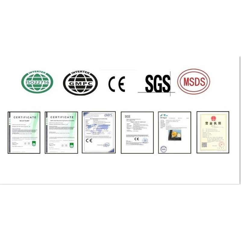 Ceylon Cinnamon Bitter Melon Ginkgo Extract Capsules Manufacturer - 60 Capsules for Gut Health & Immune Support