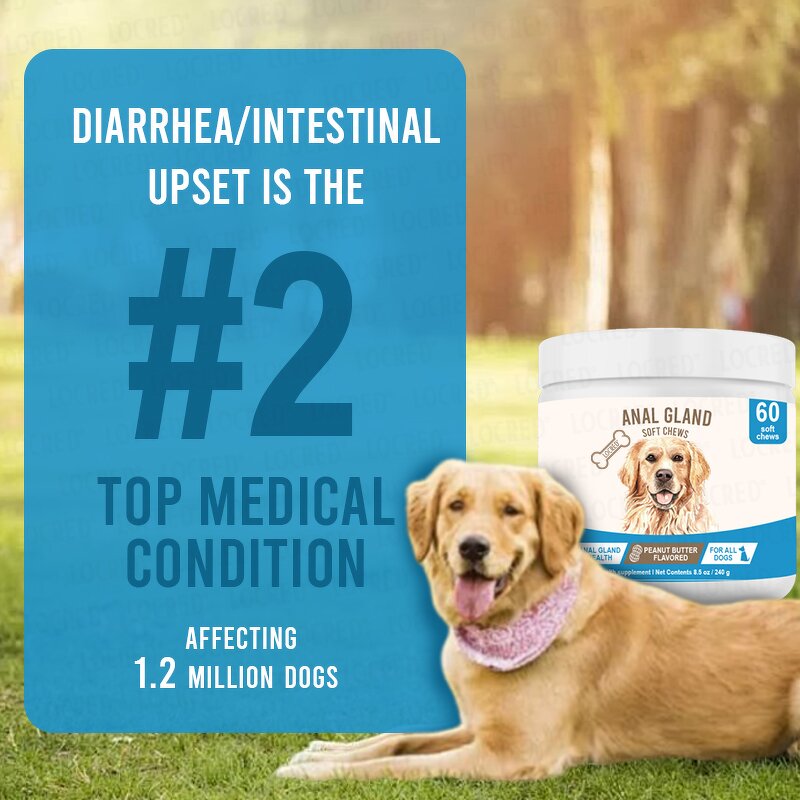 Anal Gland Soft Chew Treats for Dogs Manufacturer - Healthy Support Formula