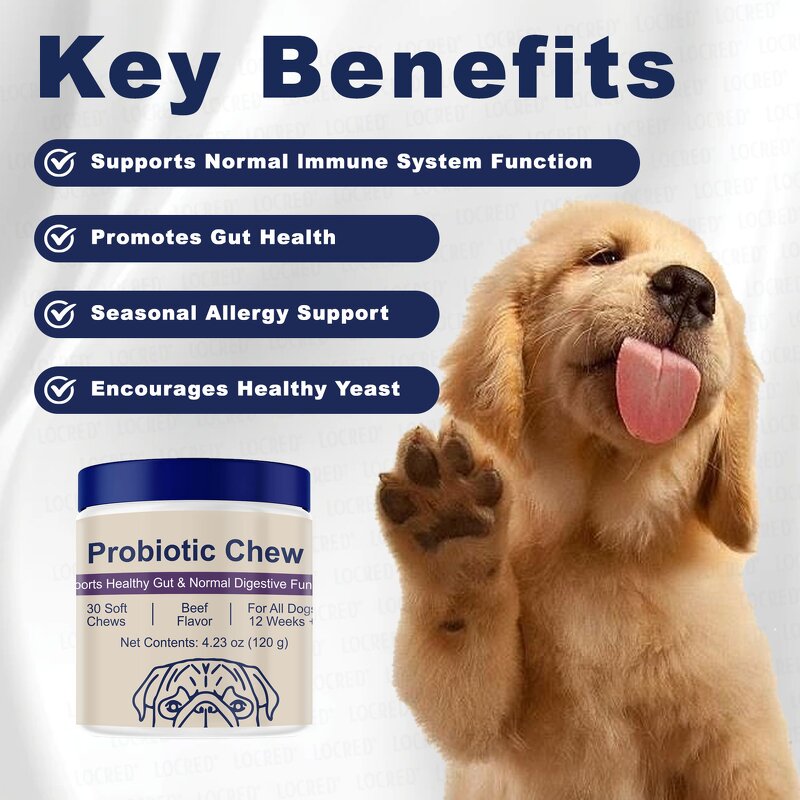 Probiotics Soft Chews Manufacturer - Latest Design for Dog Gut Health Support