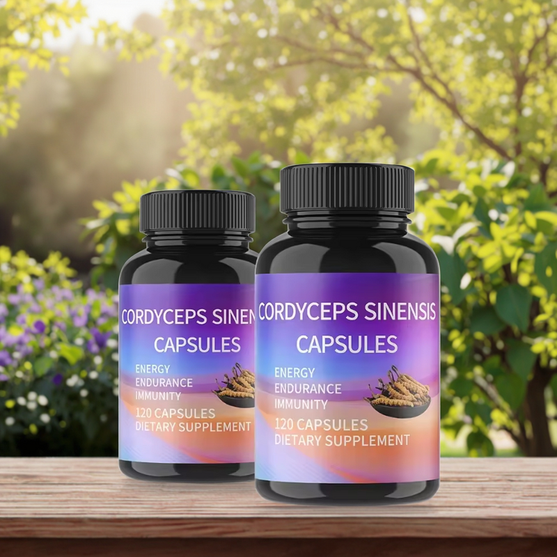 Cordyceps Sinensis Extract Capsules Manufacturer - Custom OEM for Immune & Energy Support