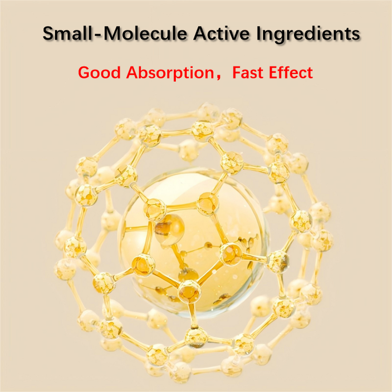 Sea Cucumber and Oyster Extract Supplements Manufacturer - Libido and Energy Support for Adults