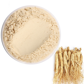 Ginseng Powder Manufacturer - 100% Natural Organic Plant Extract