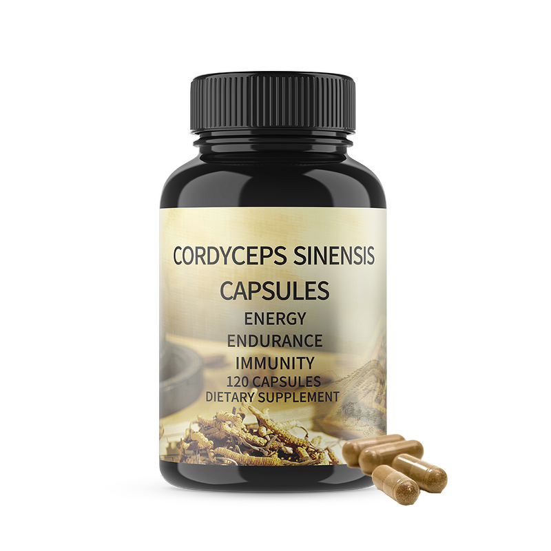 Cordyceps Sinensis Extract Capsules Manufacturer - Custom OEM for Immune & Energy Support