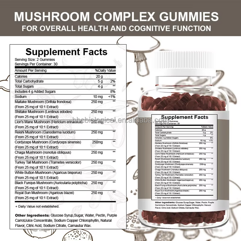Mushroom Gummies Manufacturer - 10-in-1 Blend for Adults, Mood & Brain Support