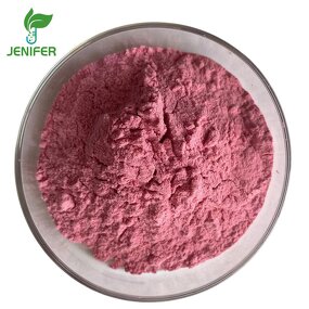 Acai Berry Powder Manufacturer - 100% Food Grade for Bulk Wholesale