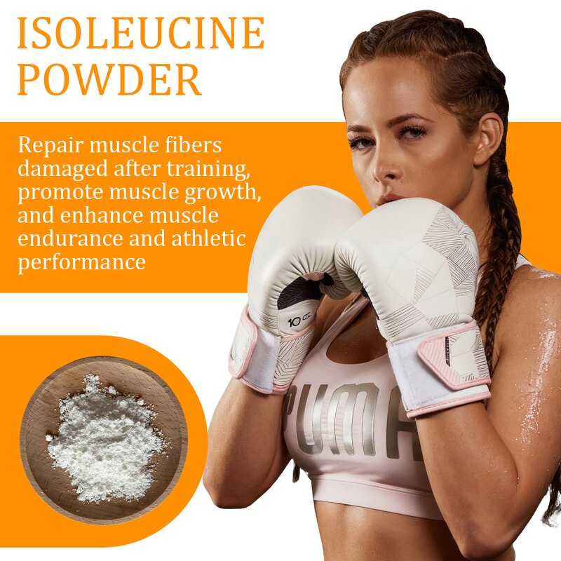 L-Isoleucine Powder Manufacturer - CAS 73-32-5 Food Grade